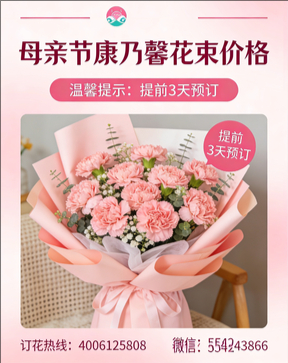 常州花店母亲节康乃馨花束