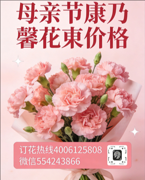 常州花店母亲节康乃馨花束